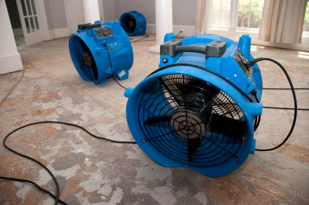 Best Commercial water damage restoration  in Fort Totten, ND