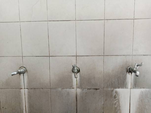 Best Sewage cleanup and water damage restoration  in Fort Totten, ND