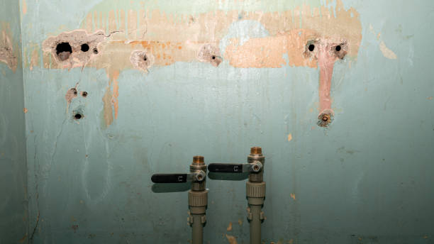 Best Carpet water damage restoration  in Fort Totten, ND