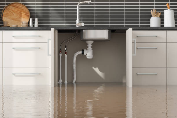 Best Water damage contractors near me  in Fort Totten, ND