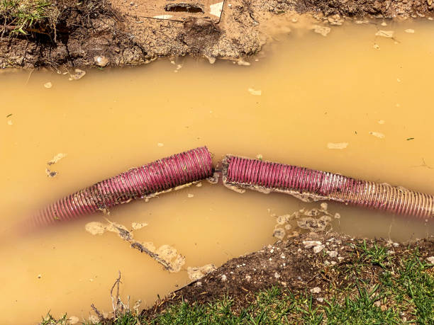 Best Basement water damage restoration  in Fort Totten, ND