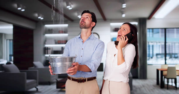 Best 24/7 water damage repair  in Fort Totten, ND