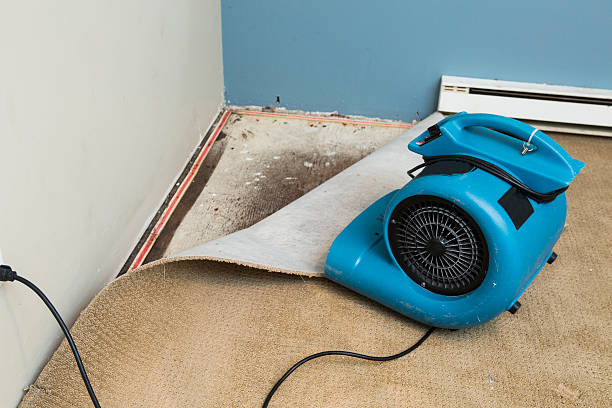 Best Water damage restoration near me  in Fort Totten, ND